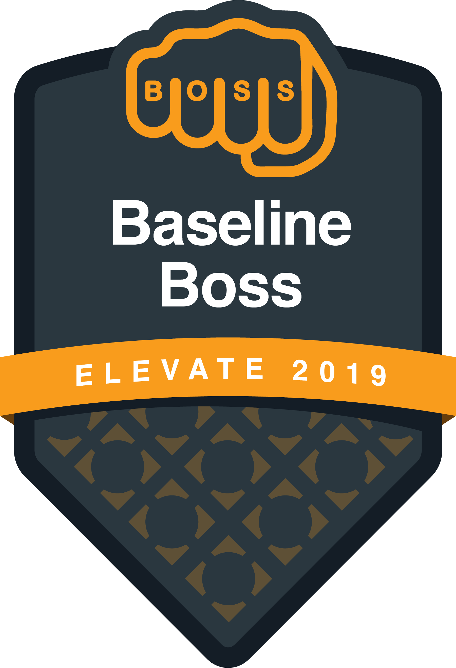 Baseline Boss – Elevate 2019