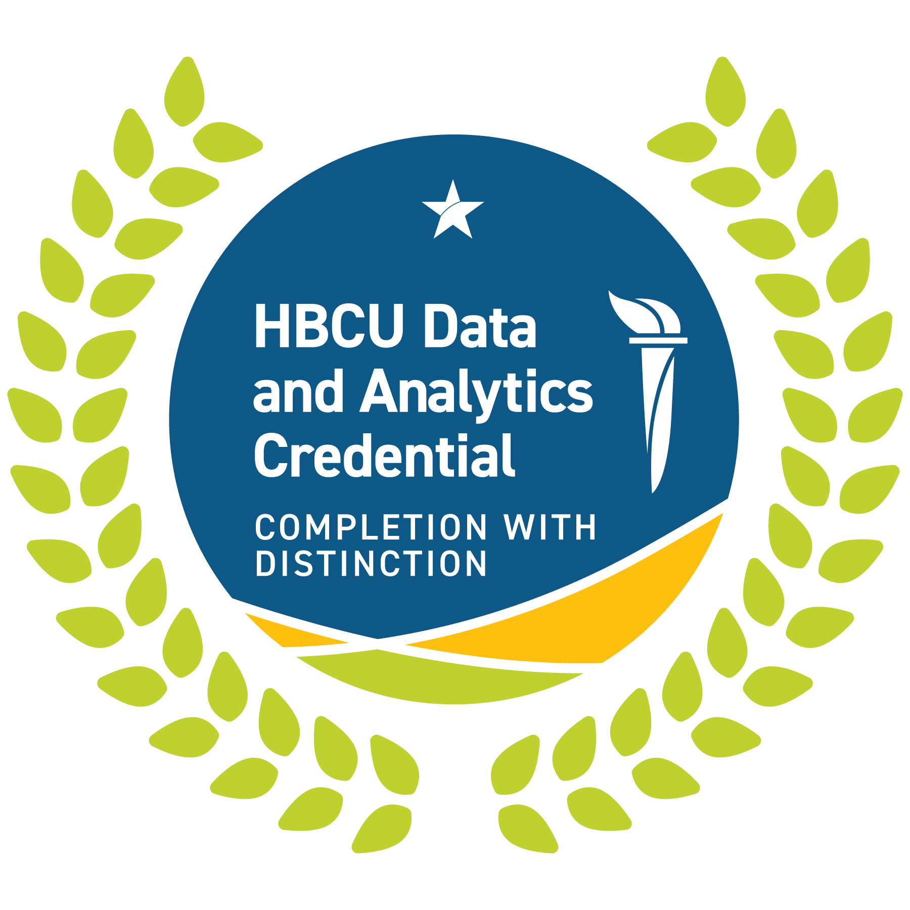 HBCU Data and Analytics Credential - Completion with Distinction